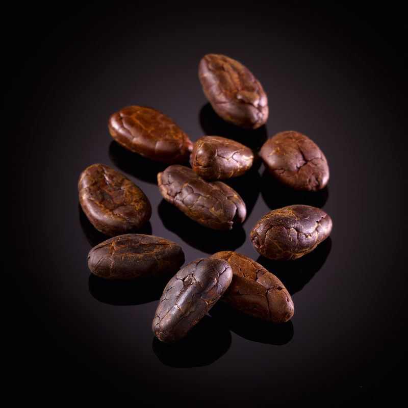Roasted cocoa beans