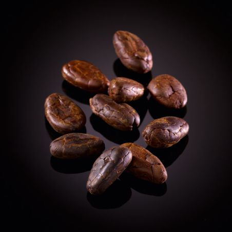 Fèves de cacao torréfiées Épices brutes Fèves de cacao torréfiées Épices brutes