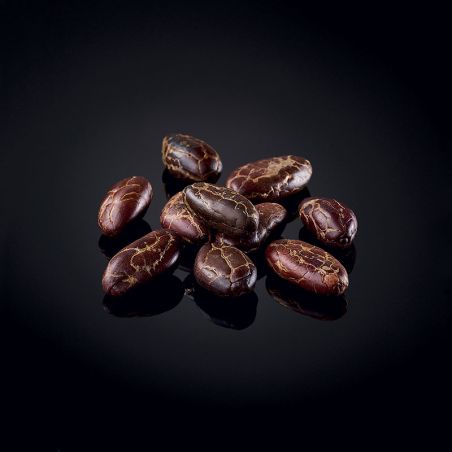 Fèves de cacao de Colombie décortiquées Épices brutes