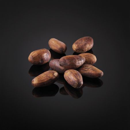 Whole Colubian cocoa beans Whole Colubian cocoa beans