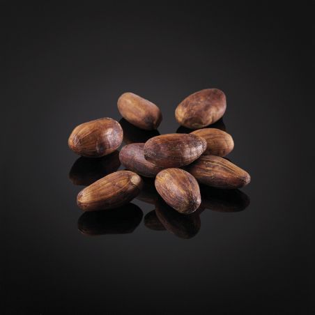 Whole Colubian cocoa beans