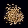 White peppercorns from Madagascar White peppercorns from Madagascar