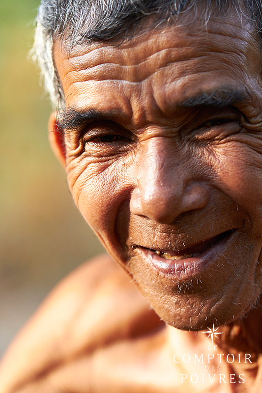 Cueilleur de poivre au Cambodge